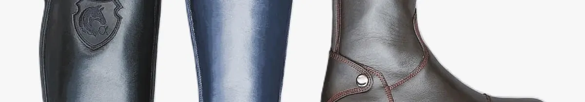 1c44ba51-8010-45fe-a094-4c3ee76d293d-сапоги цветные синие коричневые обложка.jpg